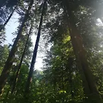 Krallinger Hébergement de vacances Abtenau