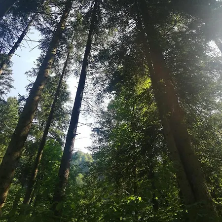 Krallinger Prázdninový dům Abtenau